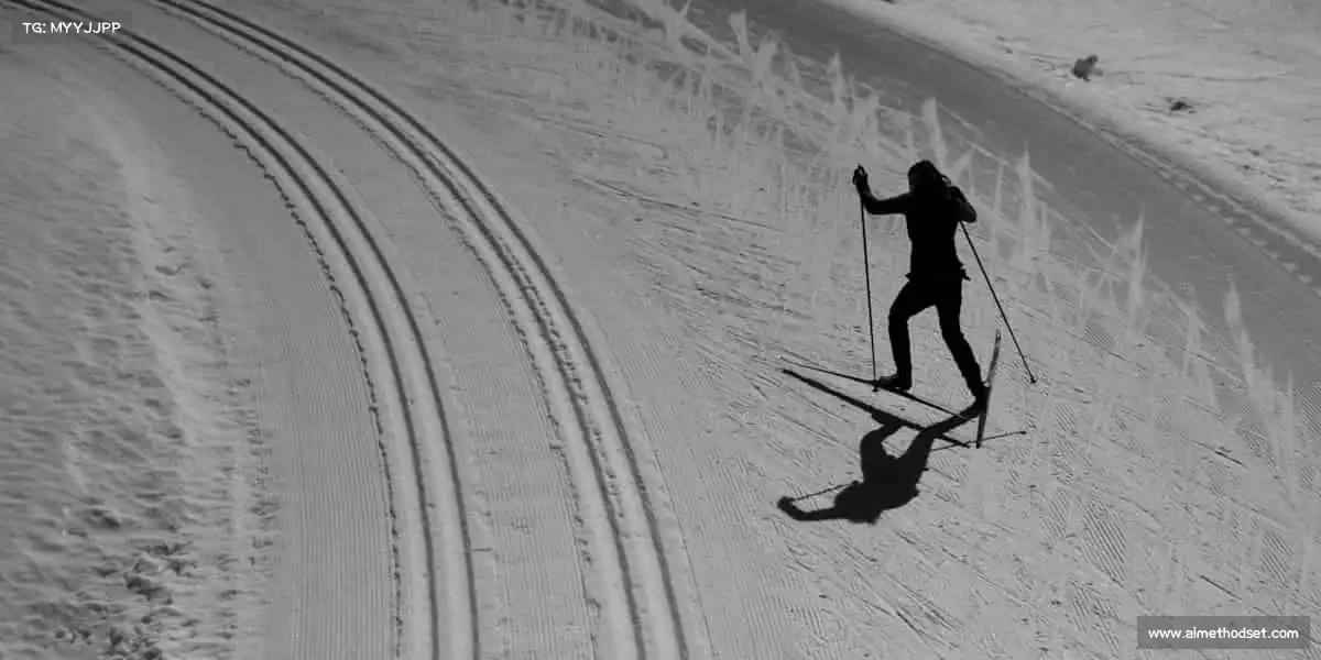 行业领先的理由